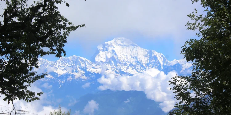 धवलागिरि आरोहणका लागि २३ जनालाई अनुमति