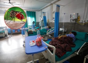 कोशीमा डेङ्गुबाट १७ जनाको मृत्यु, ३० हजार बढी संक्रमित