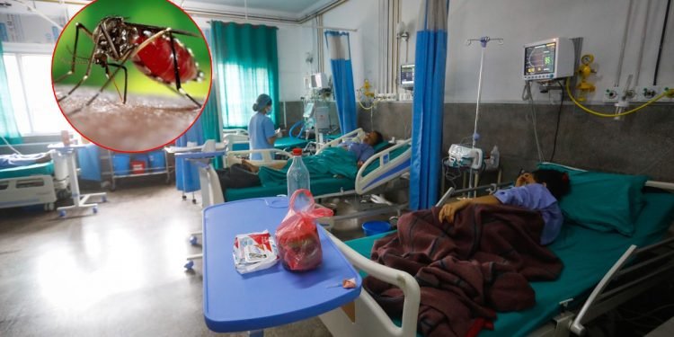 कोशीमा डेङ्गुबाट १७ जनाको मृत्यु, ३० हजार बढी संक्रमित
