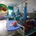 कोशीमा डेङ्गुबाट १७ जनाको मृत्यु, ३० हजार बढी संक्रमित