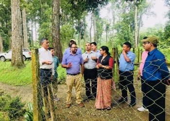निकुञ्जमा सडक निर्माण गर्न ‘डिपिआर’ र ‘इआइए’