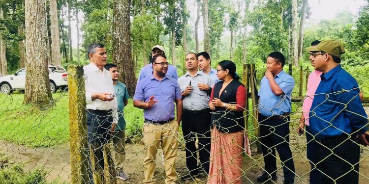 निकुञ्जमा सडक निर्माण गर्न ‘डिपिआर’ र ‘इआइए’