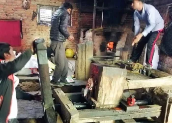 खोकनाको परम्परागत तोरी पेल्ने कोल लोप हुँदै
