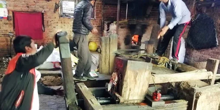 खोकनाको परम्परागत तोरी पेल्ने कोल लोप हुँदै