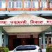 नेपालबाट चीनमा ‘हेलेज’ घाँस निर्यात