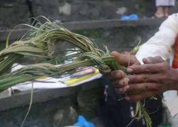 आज कुशे औँसी, पितृ सम्मान दिवस मनाइदै