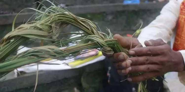 आज कुशे औँसी, पितृ सम्मान दिवस मनाइदै