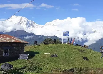 मनास्लु आरोहणमा सर्वाधिक आरोही