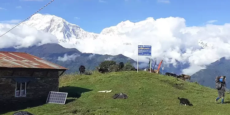 मनास्लु आरोहणमा सर्वाधिक आरोही