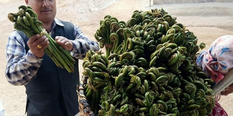 म्याग्दीको निउरो बागलुङेको भान्सामा