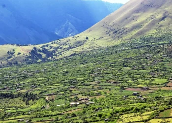 सूचना प्रविधिको पहुँच भन्दा टाढा छ निसेलढोर