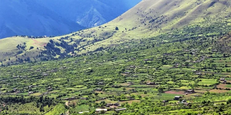 सूचना प्रविधिको पहुँच भन्दा टाढा छ निसेलढोर
