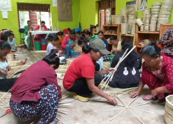 बाँसका सामग्रीबाट आयआर्जन गर्न महिलालाई तालिम