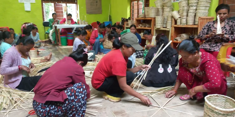 बाँसका सामग्रीबाट आयआर्जन गर्न महिलालाई तालिम