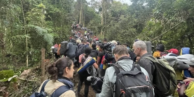 भयानक जङ्गल पार गरेर अमेरिका जानेको संख्या ४ लाख नाघ्यो