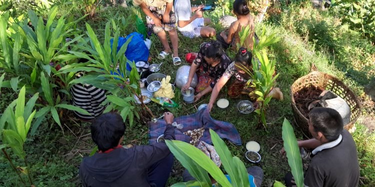 अलैँची टिप्न किसानलाई चटारो, बगानमै मनाए दसैँ