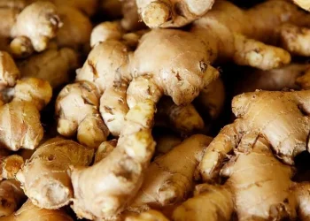 १ अर्ब २२ करोडको अदुवा निर्यात