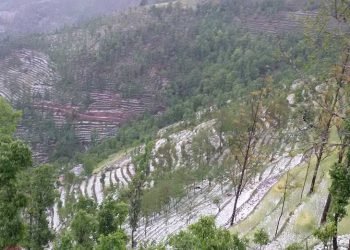 बैतडीमा असिनापानीले बालीनाली सखाप