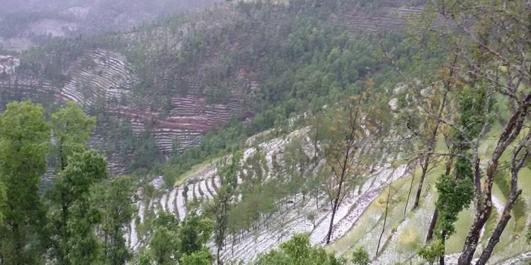 बैतडीमा असिनापानीले बालीनाली सखाप