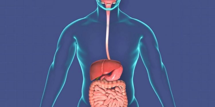 जाडो बढेसँगै कोलेस्ट्रोल पनि बढ्ने खतरा हुन्छ
