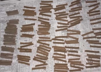 गाईको गोबरबाट धुपबत्ती र दियो बनाउन थालियो