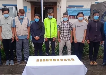 दोलखा सुन तस्करीमा पनि चिनियाँ गिरोहकै संलग्नता