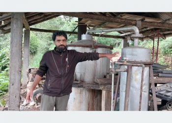 फ्रान्स निर्यात हुन थाल्यो इलाममा उत्पादित जडीबुटी