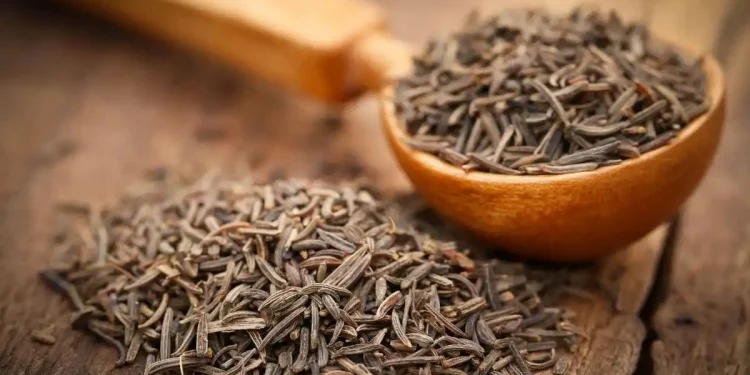 जिराको मूल्य आकासियो