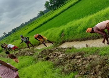 किसानको गुनासोः वास्तविक किसानलाई कार्यक्रम आएन