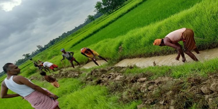 किसानको गुनासोः वास्तविक किसानलाई कार्यक्रम आएन