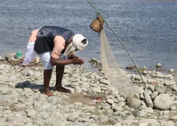 माझी समुदायलाई रोजीरोटीकै पिरलो