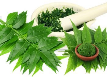 यस्ता छन् निमको पातका अचुक फाइदा