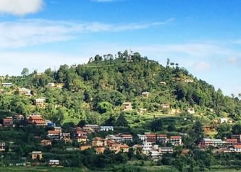 पनौतीका ‘लम्पीस्किन’ पीडित किसानलाई राहत