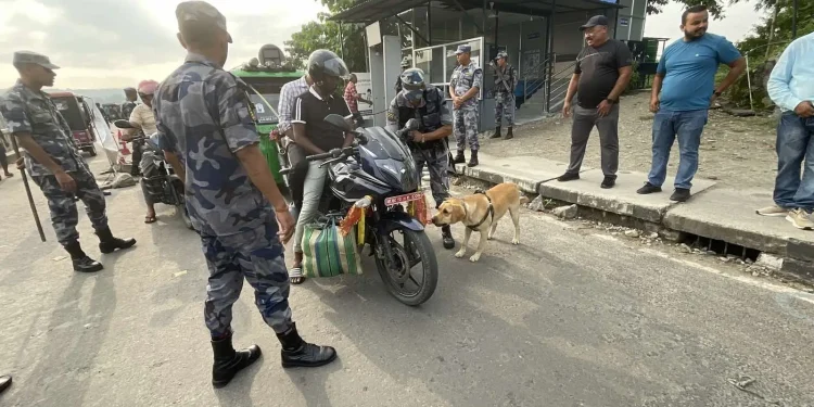 झापाको पूर्वी नाकामा सशस्त्रका तालिमप्राप्त कुकुर परिचालन