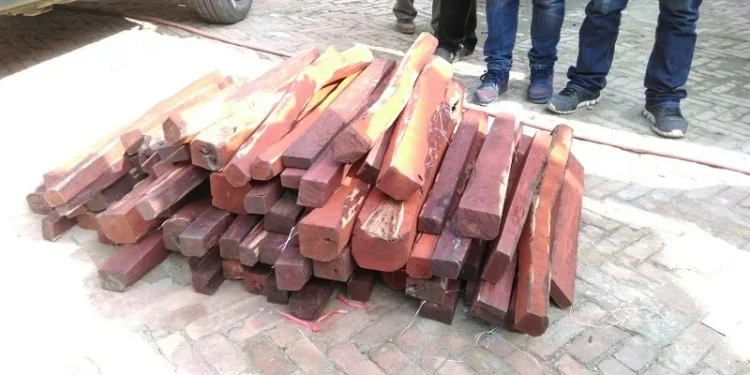 कपिलवस्तुमा साढे छ क्विन्टल रक्तचन्दन बरामद