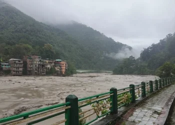 हिमतालमा आएको बाढीबाट भारतमा मर्नेहरूको संख्या ४० पुग्यो