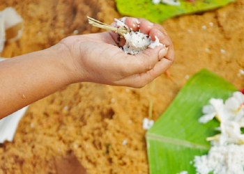 आजदेखि पितृपक्ष अर्थात् सोह्र श्राद्ध समापन गरिँदै