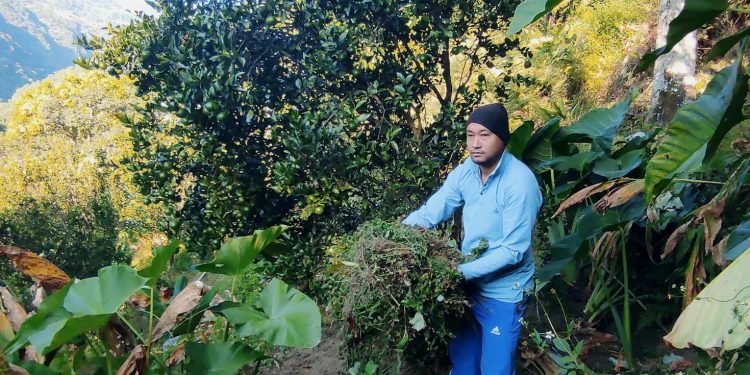 विदेशबाट फर्की स्वरोजगार बन्नुभएका सुमन