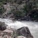 तुइनबाट खसेर एक जना बेपत्ता