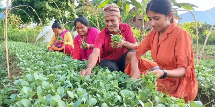 पाल्पामा बिरुवा उत्पादनले बदलिएको पहिचान