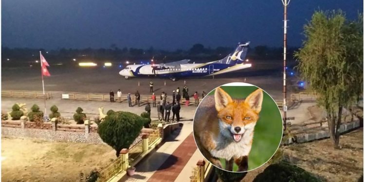 बुद्ध एयरको जहाजले किन गर्‍यो ‘ओभरसुट’