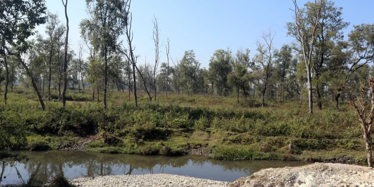 दोधारा चाँदनी सुख्खा बन्दरगाहको डिपिआर तयार