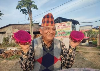 सुवेदीका फार्ममा एक किलो बढीका ड्रागन