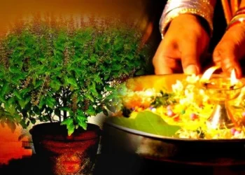 आज हरि बोधिनी एकादशी, कस्तो छ तुलसीको महत्व ?