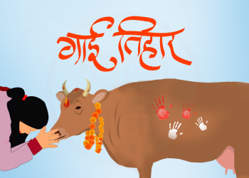 तिहारको तेस्रो दिन आज गाईको पूजाआजा गरी मनाइँदै