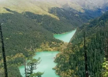 गिडिदह प्रवर्द्धनका लाग पदमार्ग