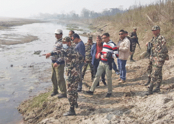 गैँडा मारिएको घटनाको छानबिन टोली चितवनमा