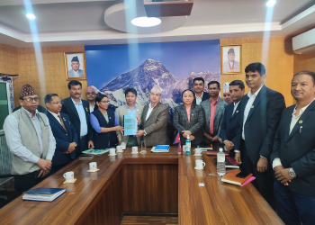 गौतम बुद्ध अन्तर्रास्ट्रिय क्रिकेट रंगशाला बागमती सरकार र भरतपुर महानगरले बनाउने