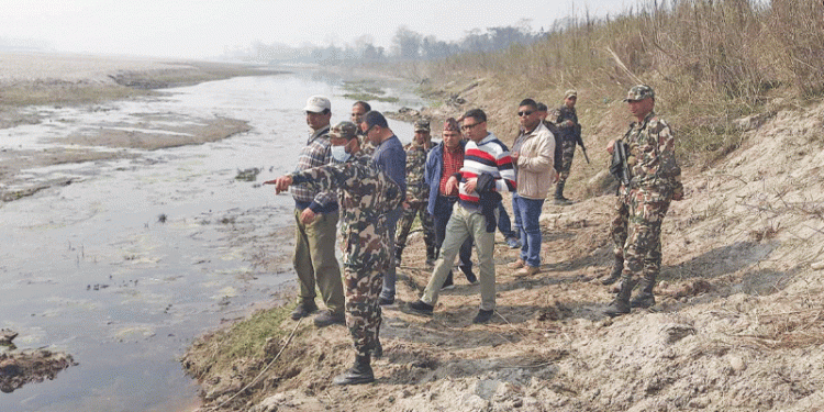 गैँडा मारिएको घटनाको छानबिन टोली चितवनमा