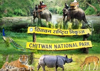 निकुञ्जको सुरक्षा व्यवस्था थप चुस्त बनाउन निर्देशन